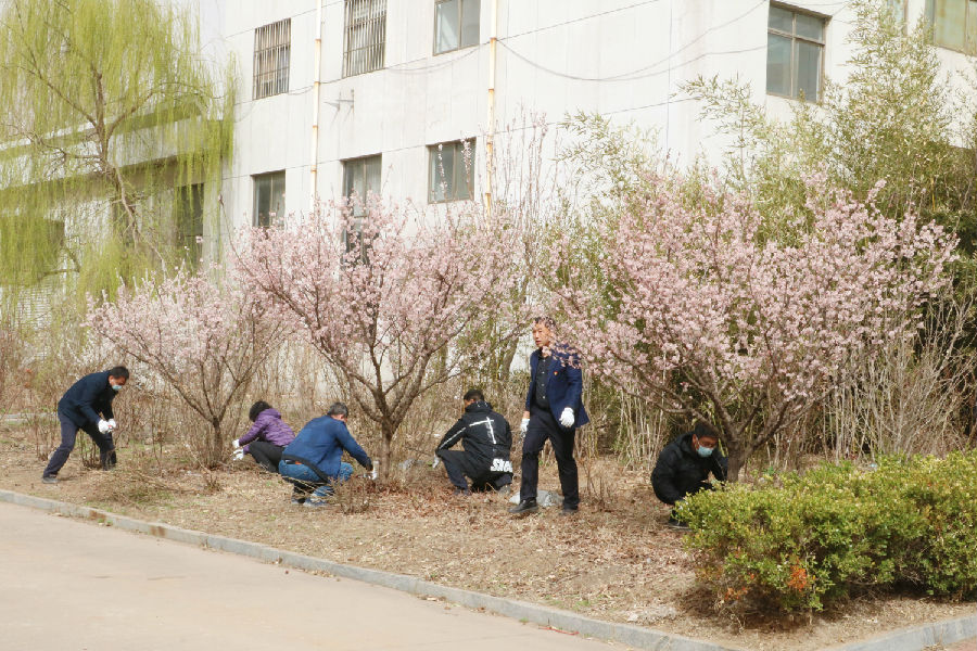 义务劳动 网站.jpg