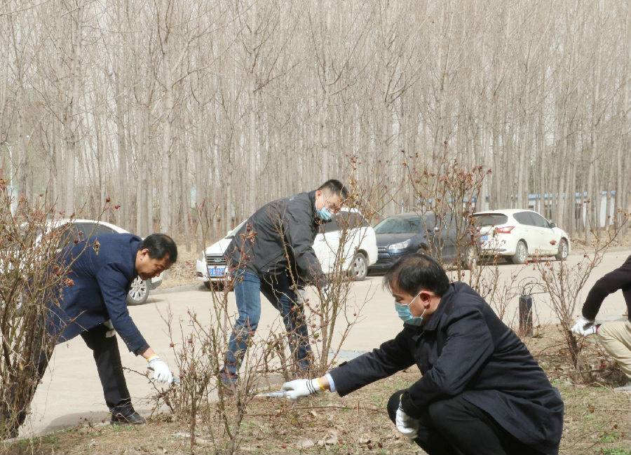 出版实业公司党员义务劳动 2021.3.16 wangzhan.jpg